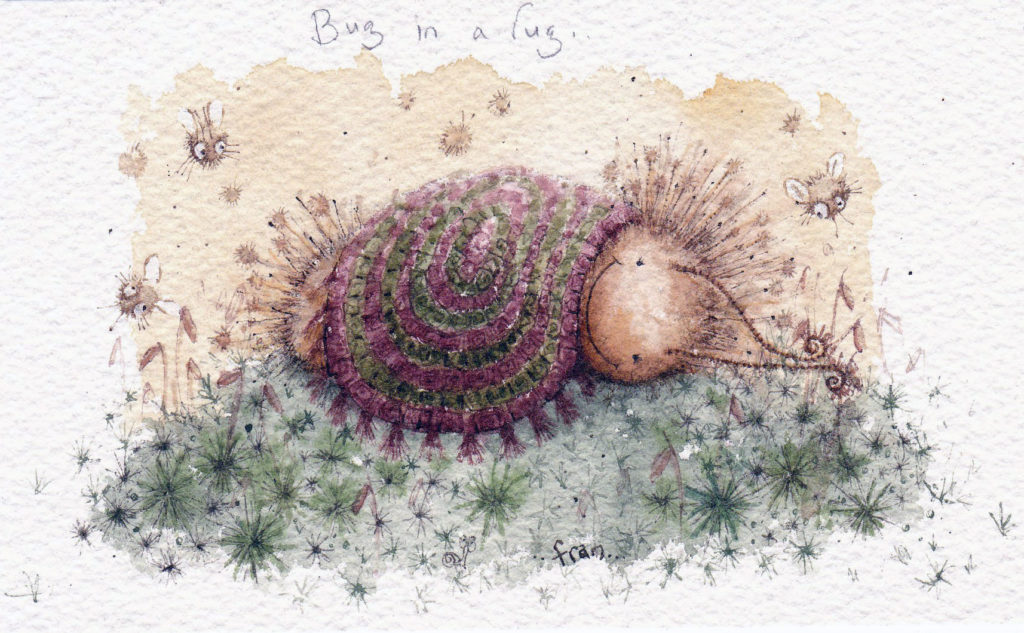 Fran Evans Illustration