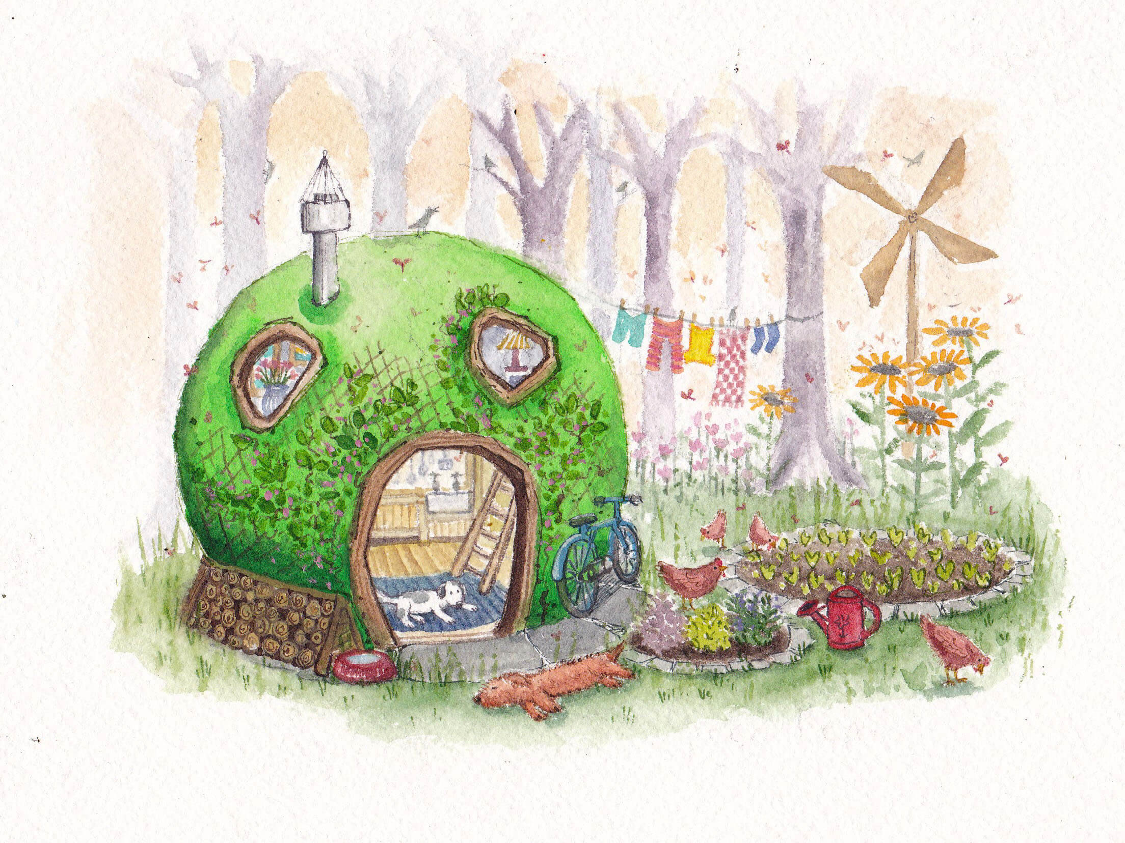 Fran Evans Illustration