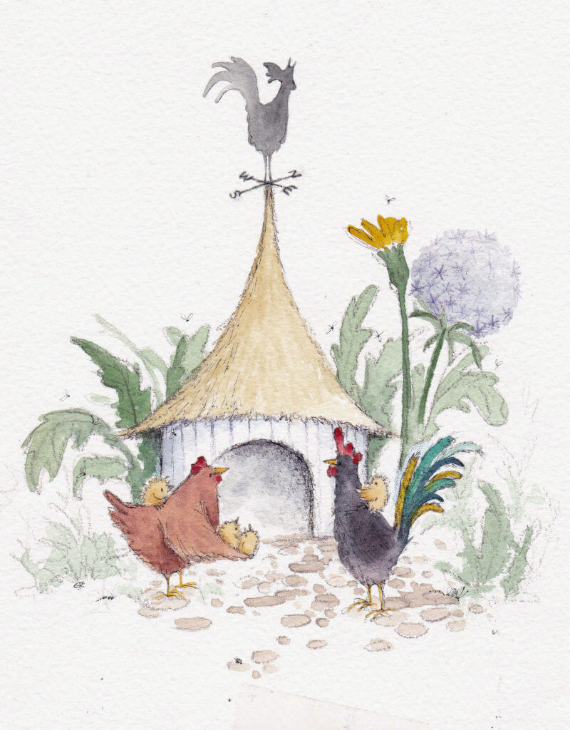 Fran Evans Illustration