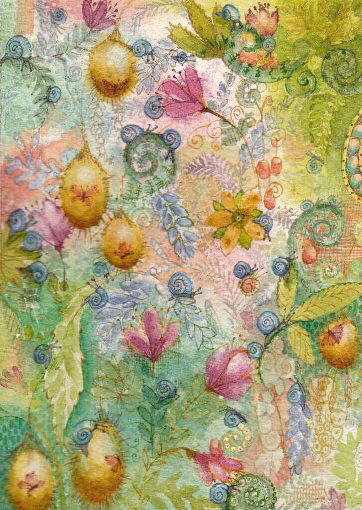 Fran Evans Illustration