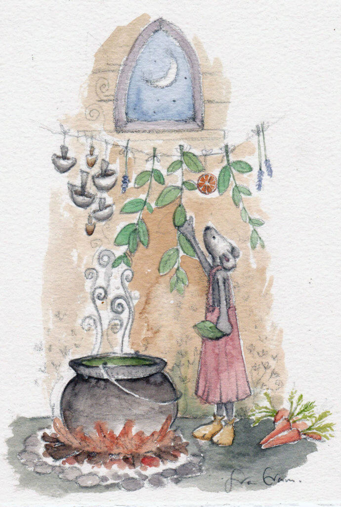 Fran Evans Illustration