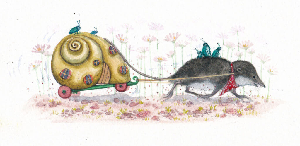 Fran Evans Illustration