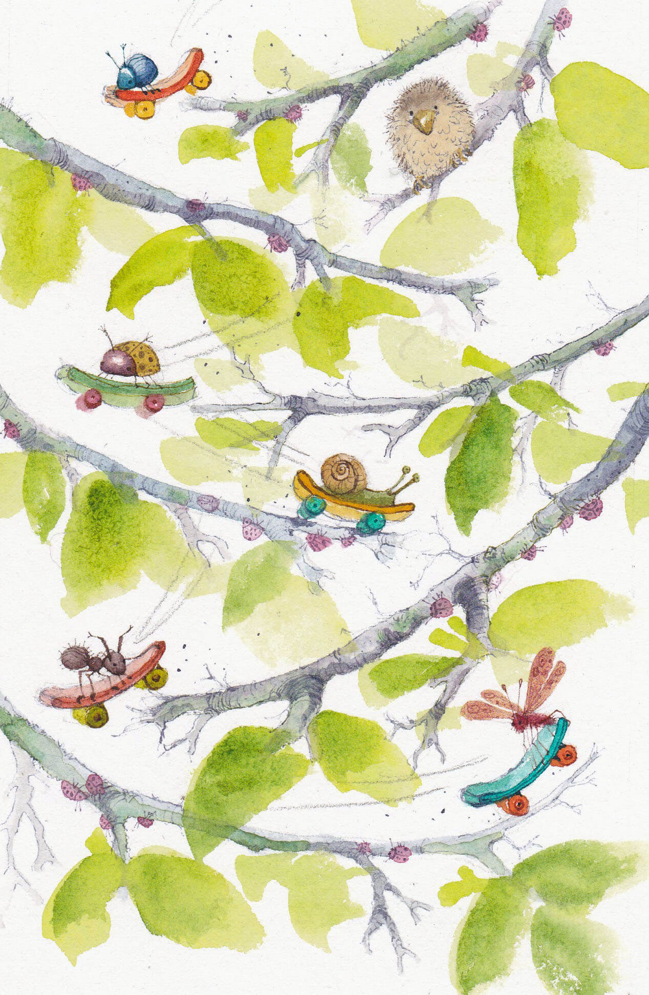 Fran Evans Illustration