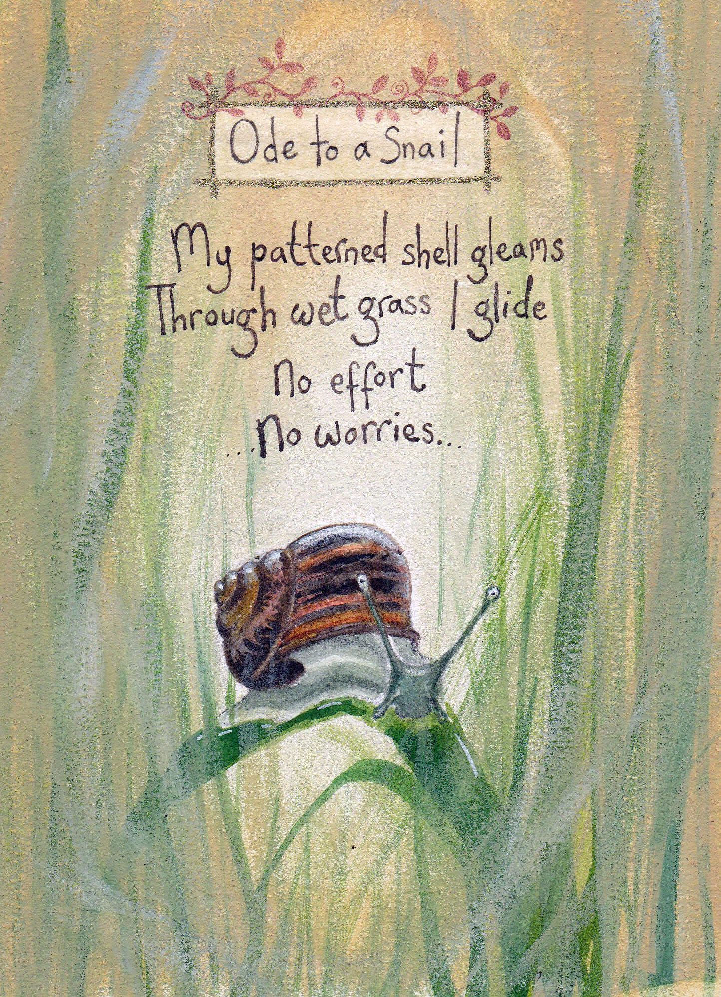 Fran Evans Illustration