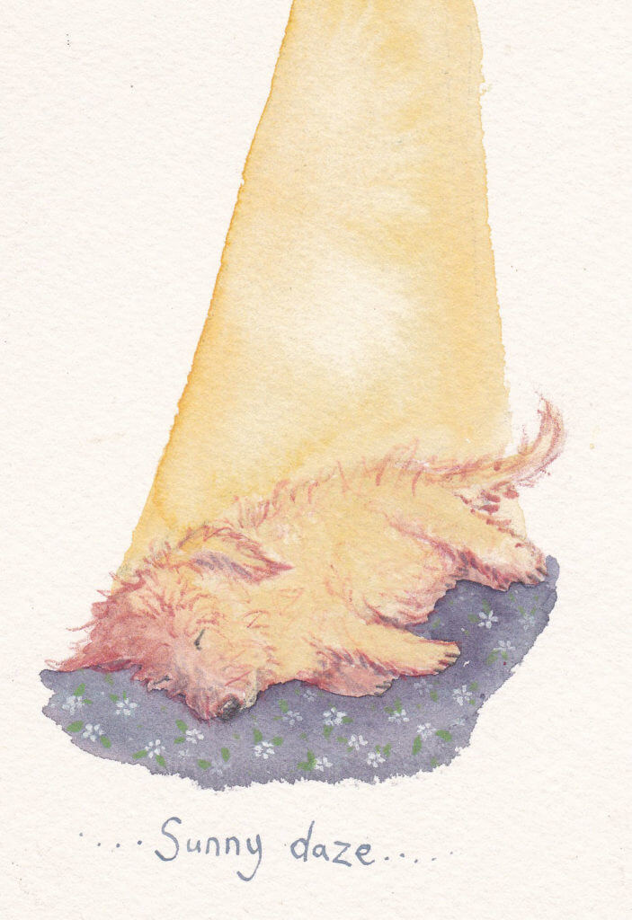 Fran Evans Illustration