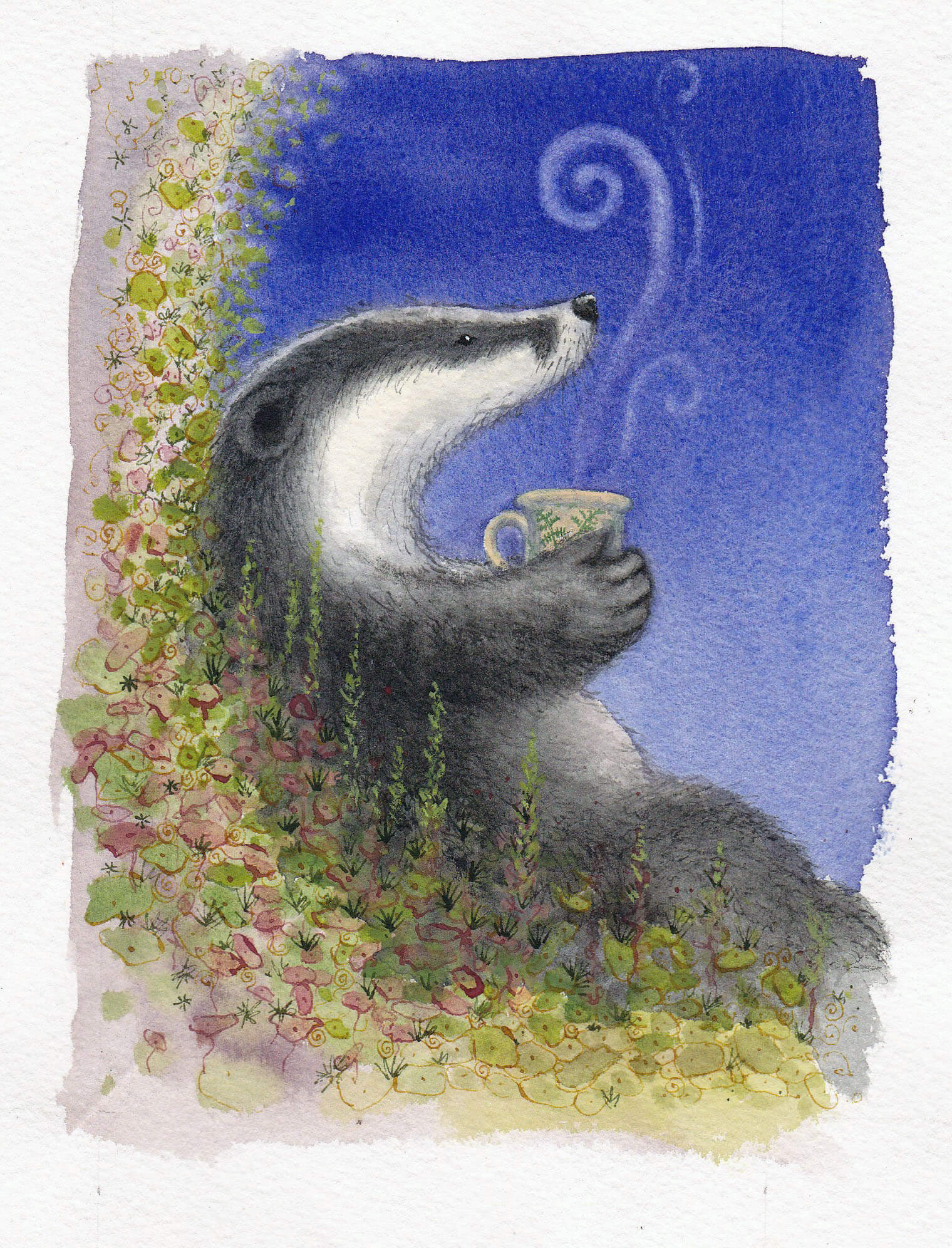 Fran Evans Illustration