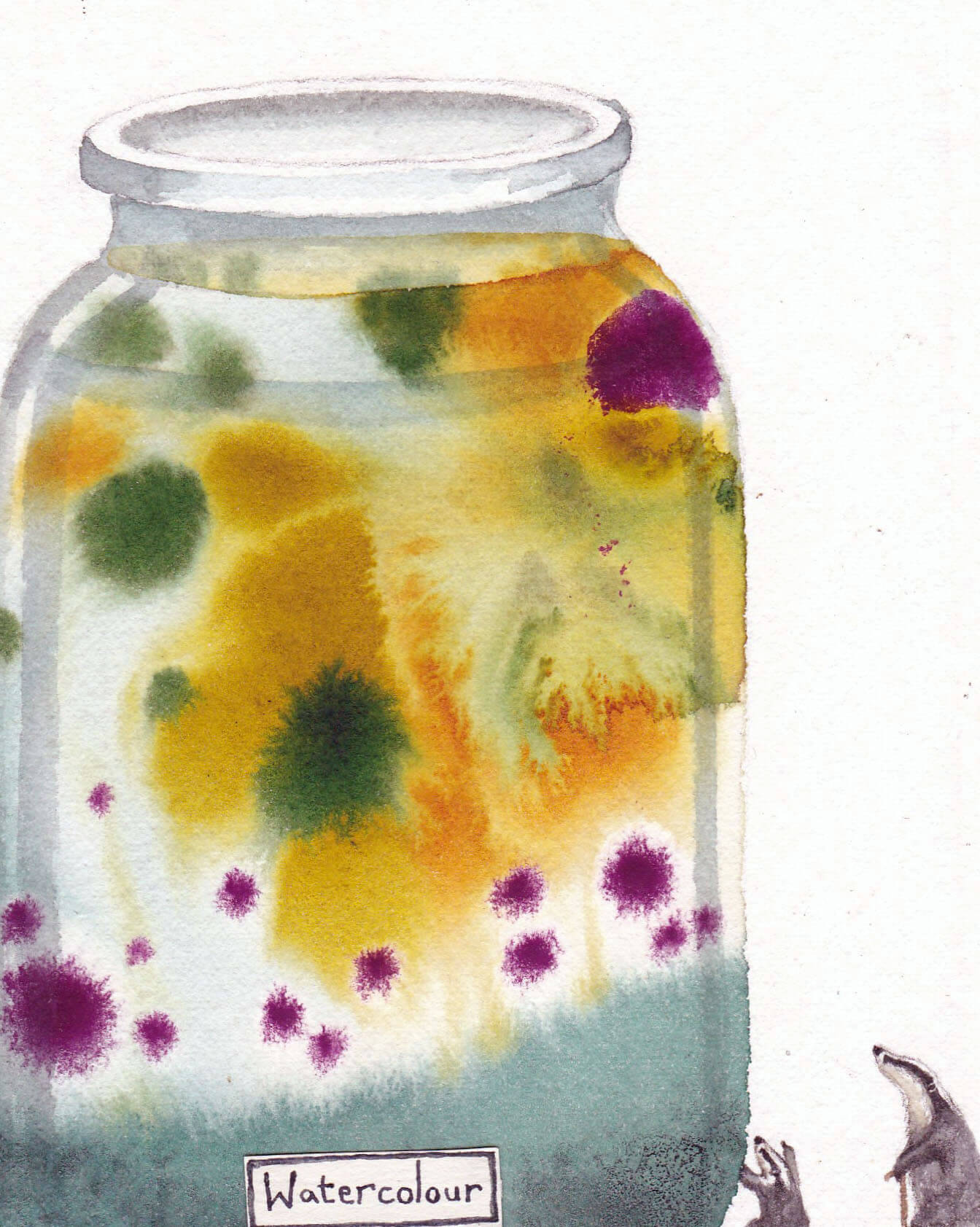 Fran Evans Illustration