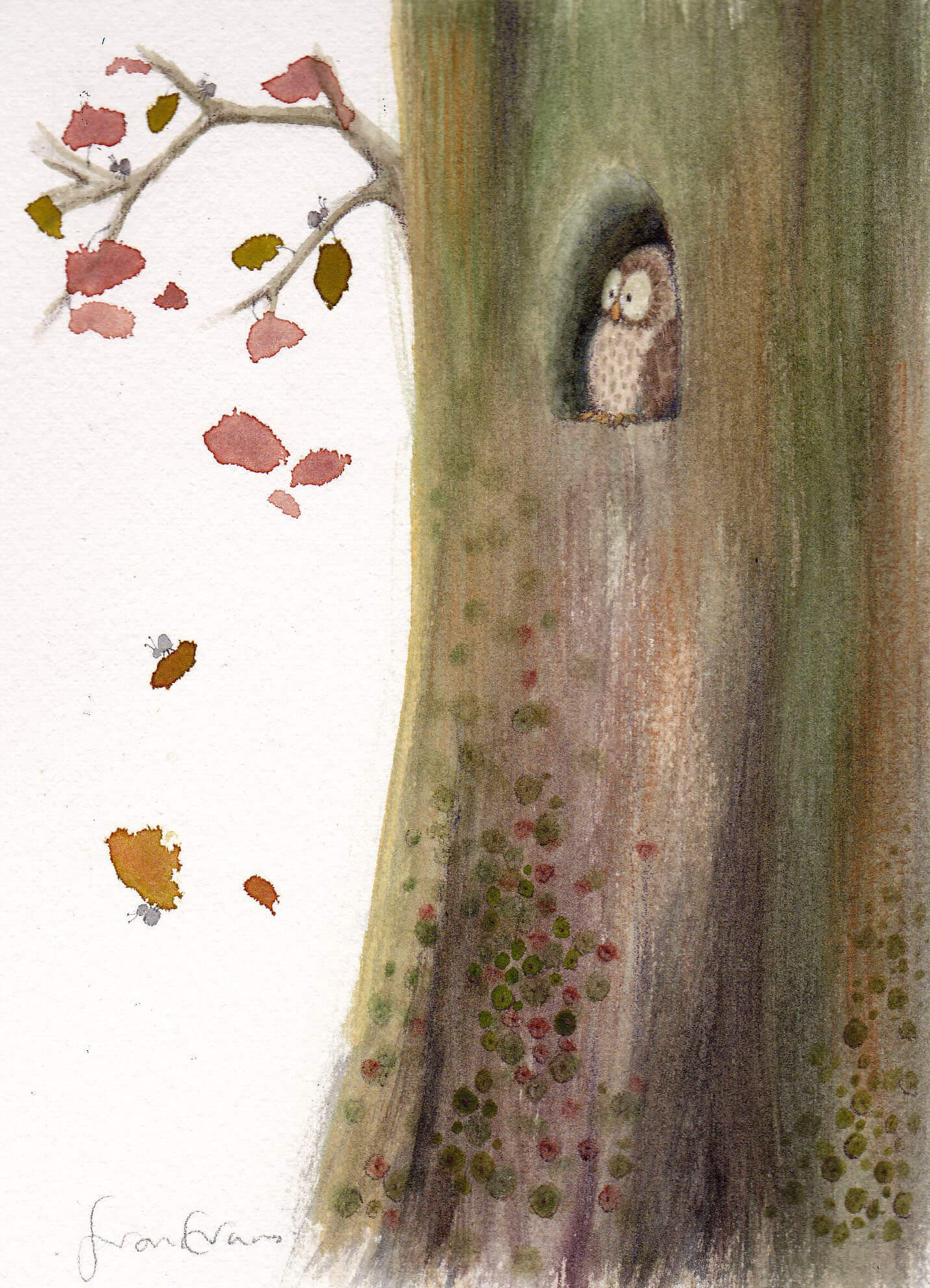 Fran Evans Illustration