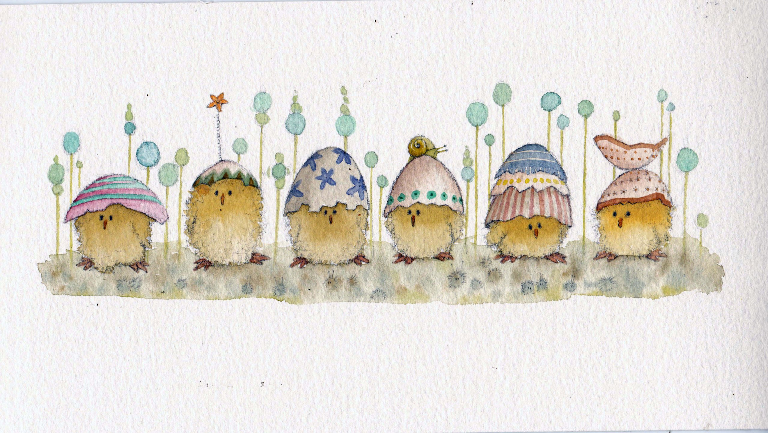 Fran Evans Illustration