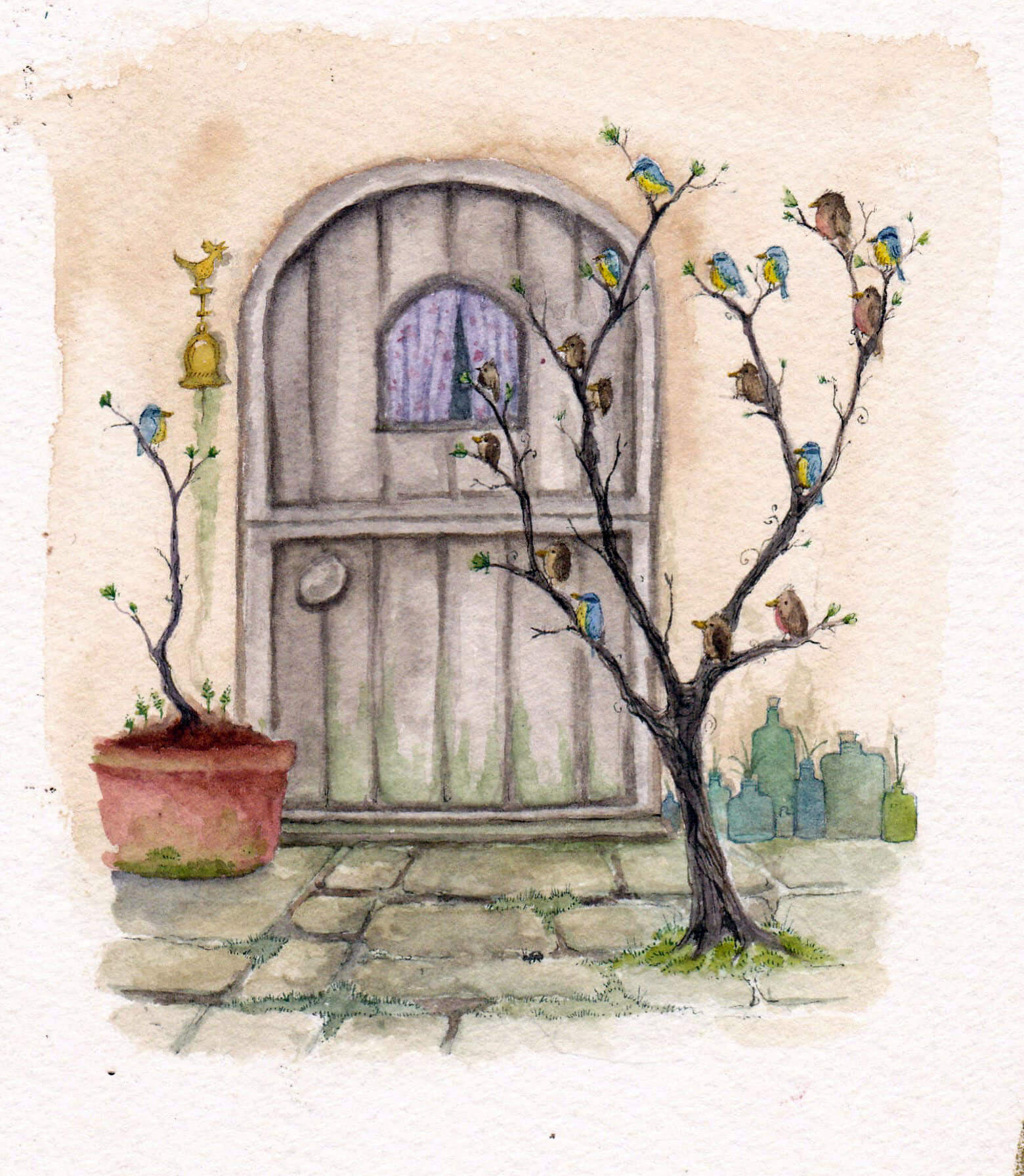 Fran Evans Illustration