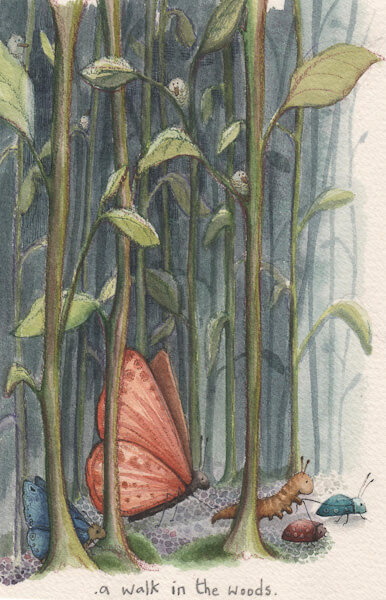 Fran Evans Illustration
