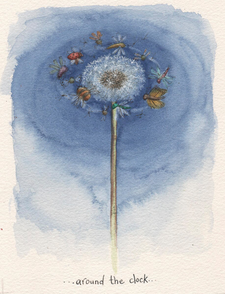 Fran Evans Illustration
