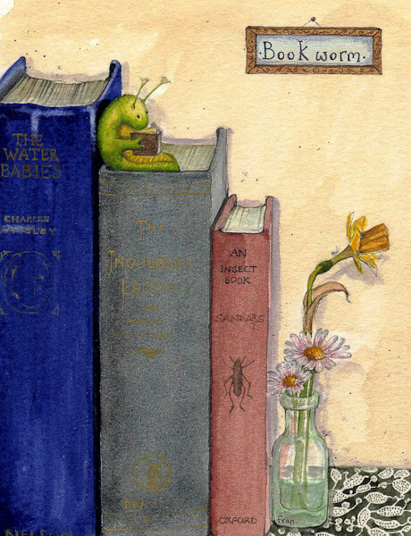 Fran Evans Illustration