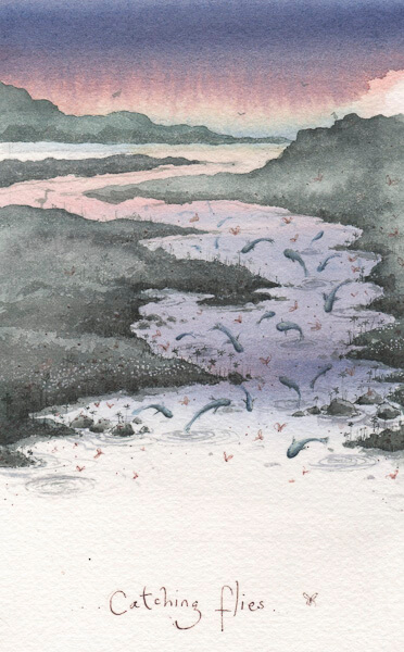 Fran Evans Illustration