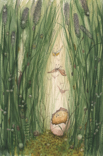 Fran Evans Illustration
