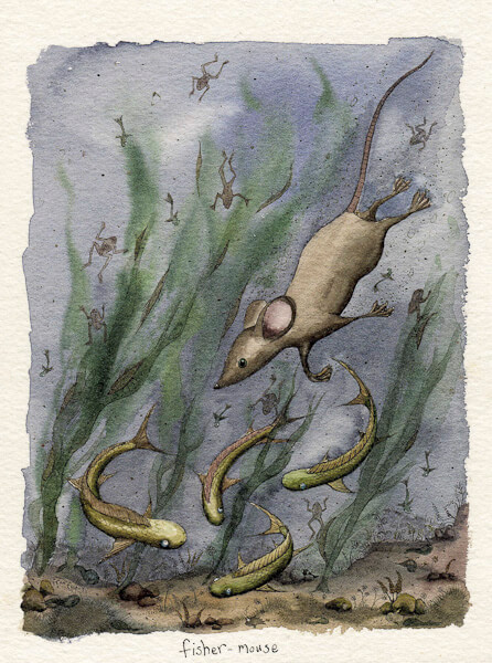 Fran Evans Illustration