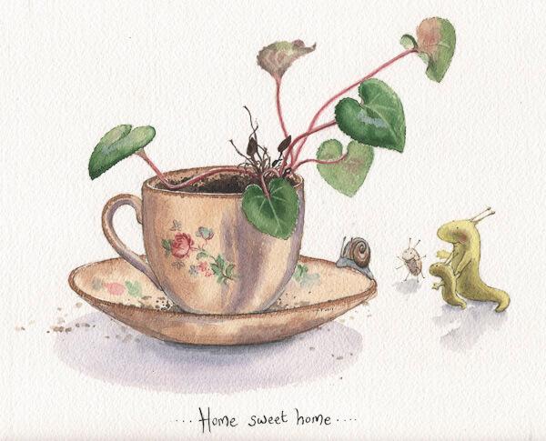 Fran Evans Illustration