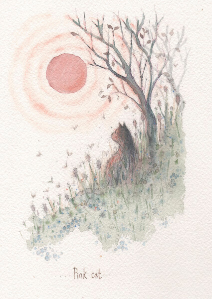 Fran Evans Illustration