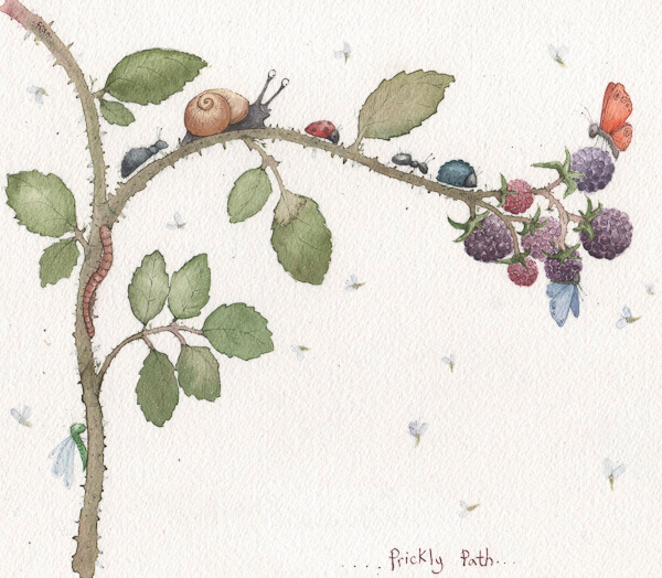 Fran Evans Illustration