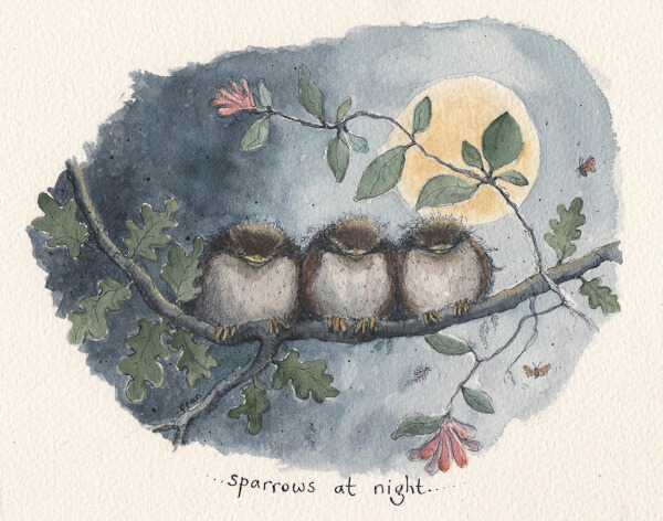 Fran Evans Illustration