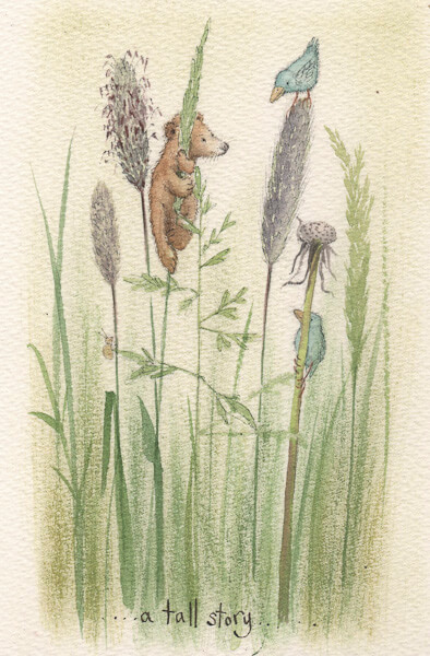 Fran Evans Illustration