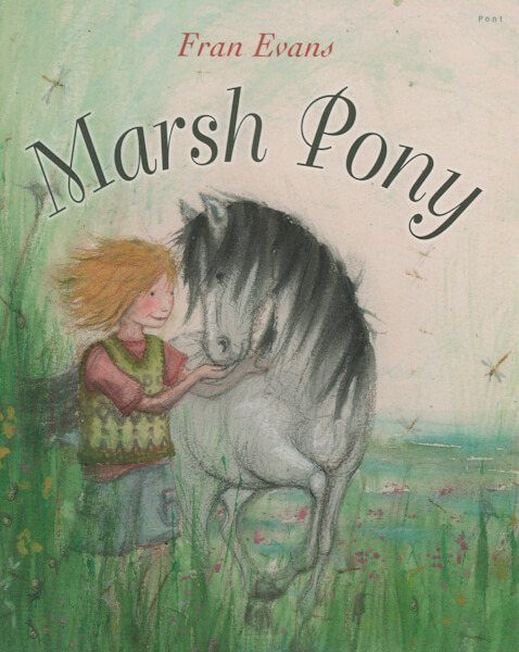 Fran Evans Illustration