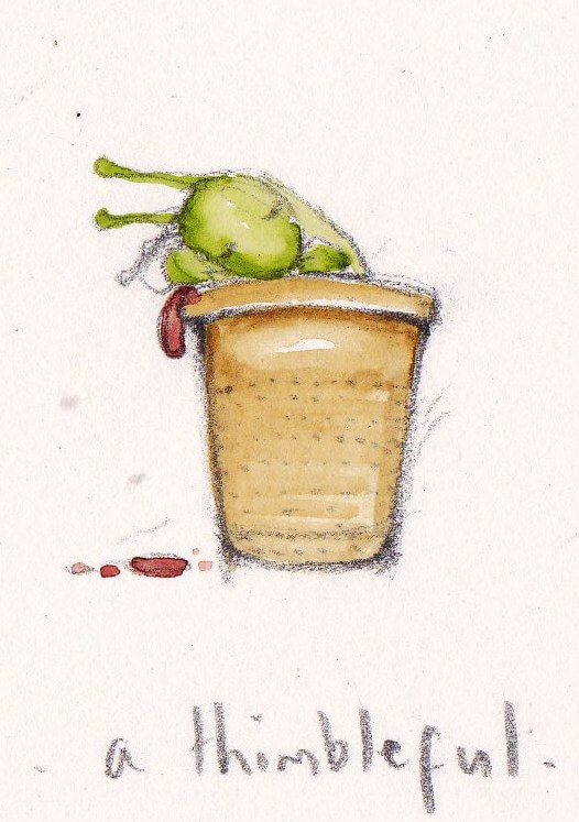 Fran Evans Illustration