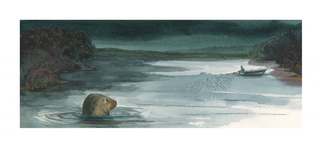 Fran Evans Illustration
